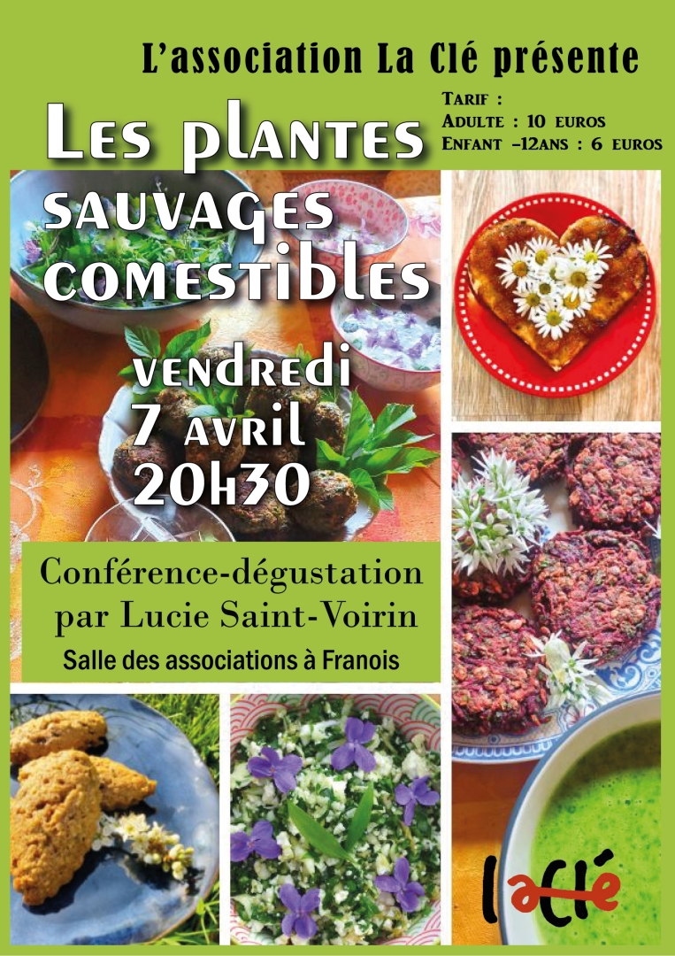 Conférence dégustation plantes sauvages