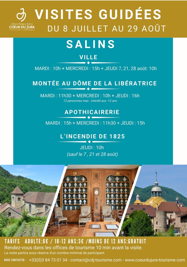 Visite de ville de Salins